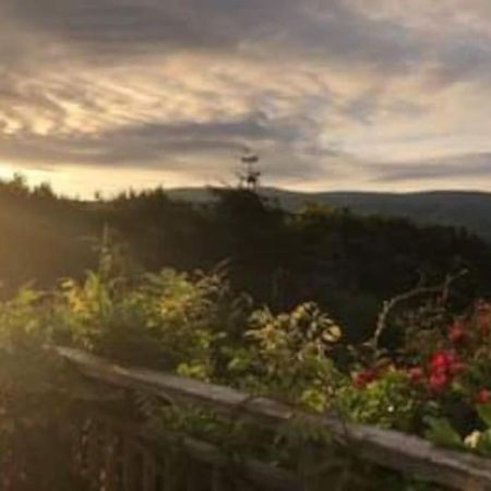 Stunning Views Of Ynyshir & Southern Snowdonia Machynlleth Extérieur photo