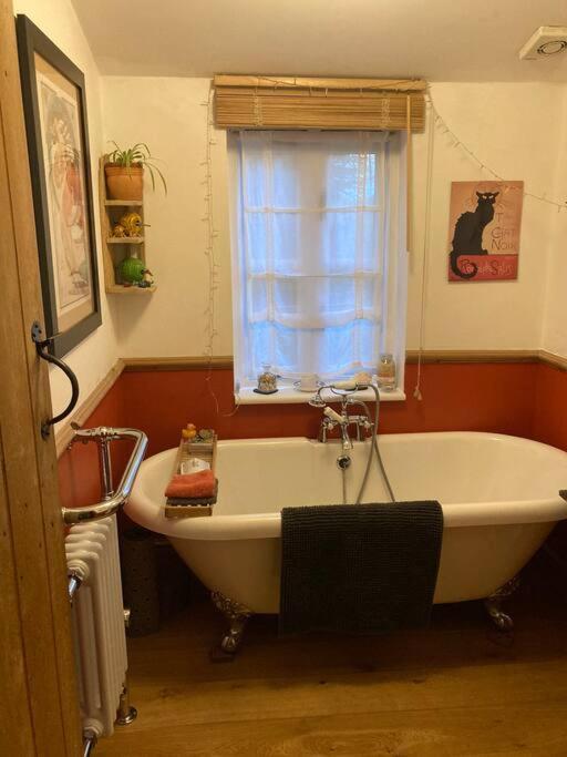 Stunning Views Of Ynyshir & Southern Snowdonia Machynlleth Extérieur photo