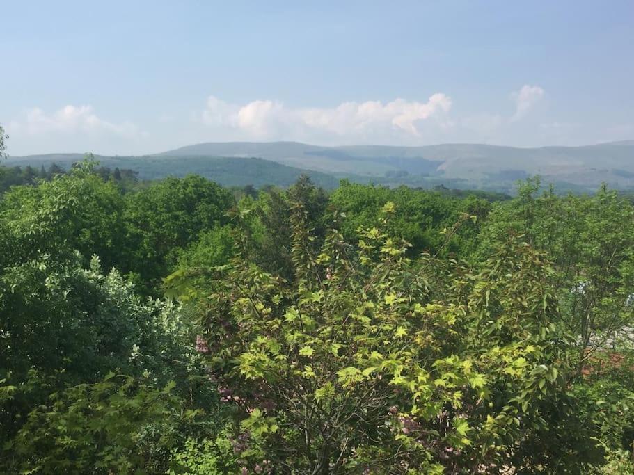 Stunning Views Of Ynyshir & Southern Snowdonia Machynlleth Extérieur photo