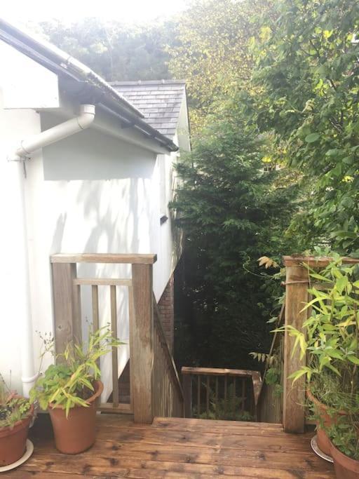 Stunning Views Of Ynyshir & Southern Snowdonia Machynlleth Extérieur photo