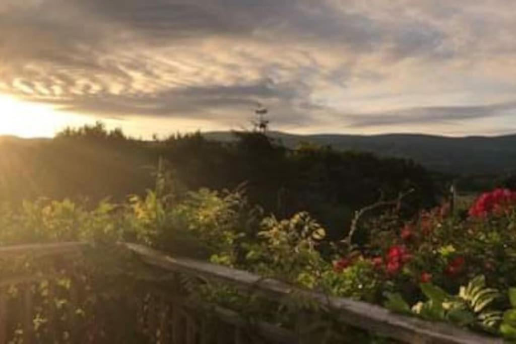 Stunning Views Of Ynyshir & Southern Snowdonia Machynlleth Extérieur photo