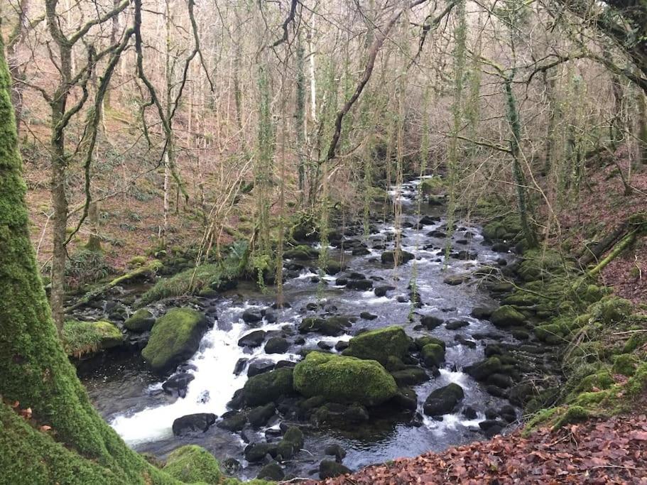 Stunning Views Of Ynyshir & Southern Snowdonia Machynlleth Extérieur photo